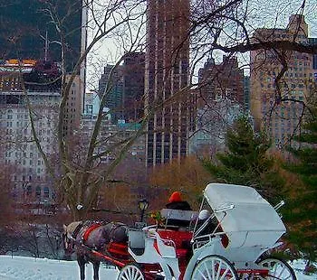Safehouse Suites Manhattan New York Hotel